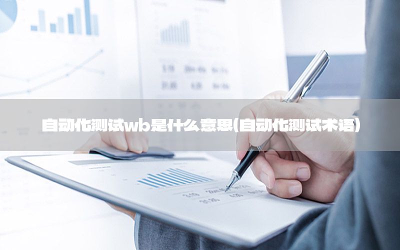 自動化測試wb是什么意思（自動化測試術(shù)語）